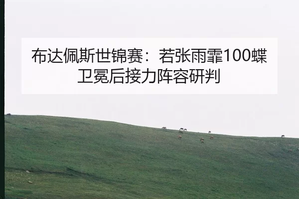 布达佩斯世锦赛：若张雨霏100蝶卫冕后接力阵容研判